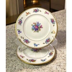 Lamberton Rose of Lamberton Bread & Butter Plate Set Of 2